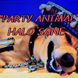 PARTY ANIMAL