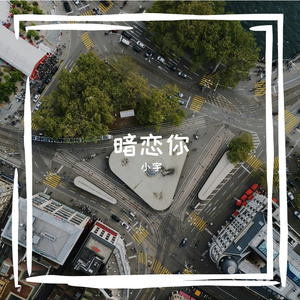 暗恋你