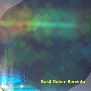 Sakit Dalam Bercinta