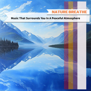 Shadows of the Calming Twilight