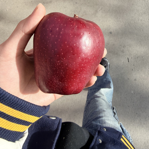 我不记得我见过多少女孩