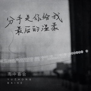 分手是你给我最后的温柔