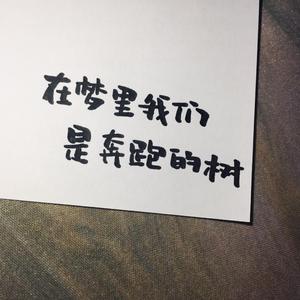 在梦里我们是奔跑的树