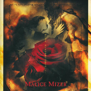 真夜中に交わした約束~薔薇の婚礼~