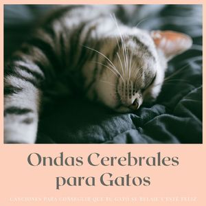 Liberando Emociones Negativas