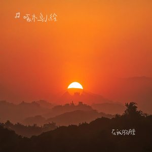 在我胸膛