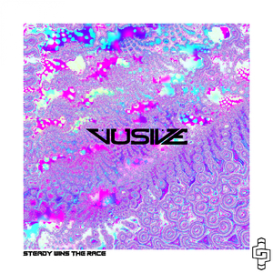 Steady Wins The Race