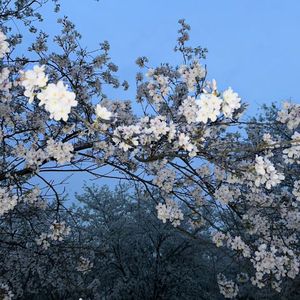 [FREE]pop type beat-“霓虹”