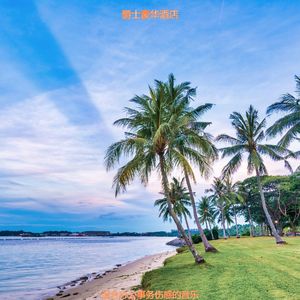 适合办公室工作放松的音乐