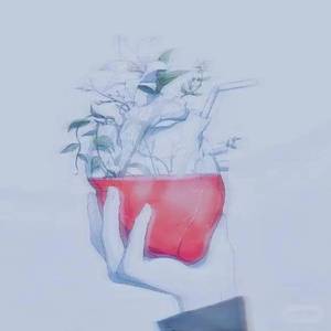 凌晨 -38°