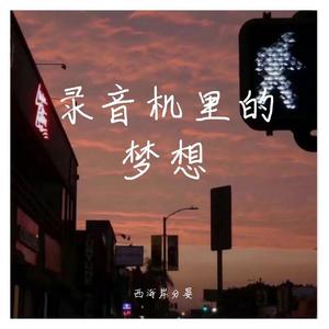 我不是你的宋冬野