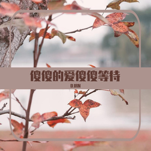 傻傻的爱傻傻等待（DJRN版）