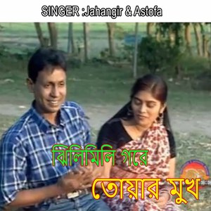 ঝিলিমিলি গরে তোয়ার মুখ