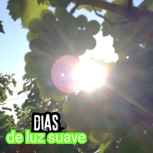 Eco de Risitas