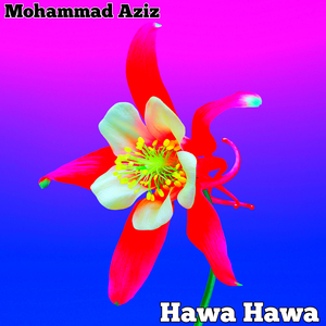 Hawa Hawa