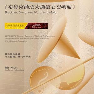 E大调第七交响曲 第三乐章·谐谑曲·快速-三声中部-稍缓 (现场)