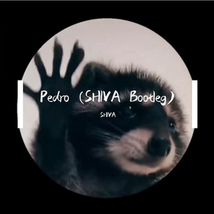 Pedro （SHIVA Bootleg）