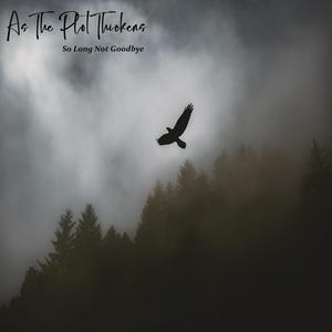 So Long Not Goodbye (Acoustic version) (Acoustic version)