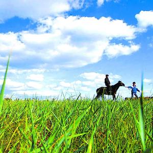 我从草原来（郁可唯cover）（戚特别 remix）