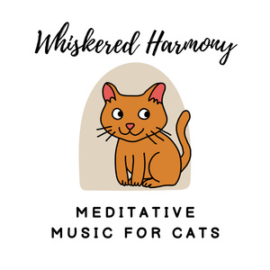 Catnip Highs in Music for Cats
