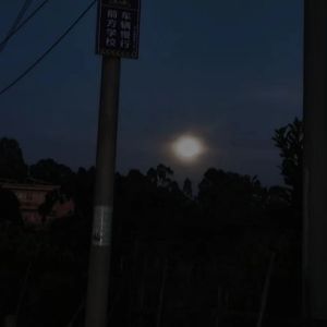 我幻想有风吹过
