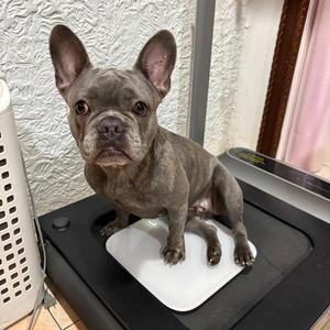 Solfege