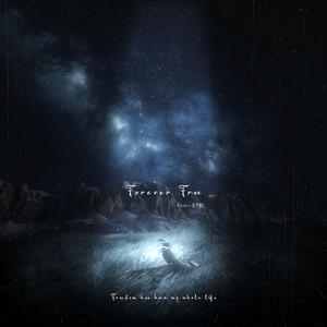 Forever Free(永远自由)