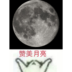 你的答案_是雷雷呀