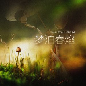 梦泊春焰《世界之外》2025柏源同人生贺曲