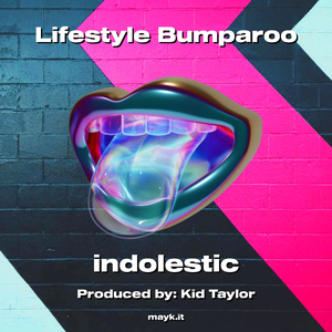 Lifestyle Bumparoo