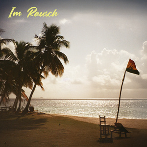 Im Rausch