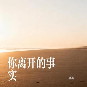 你离开的事实