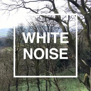 White Noise: Kids Toy