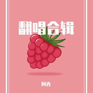 琴师（翻自 音频怪物）