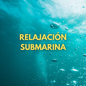 Sonido Conservador De Ola