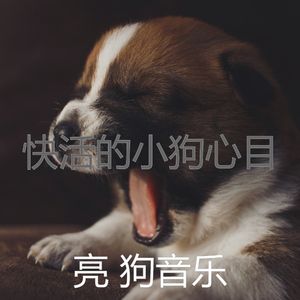 精彩小狗环境