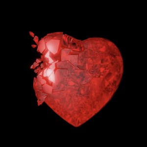 Go forward（Probyd 牙刷）