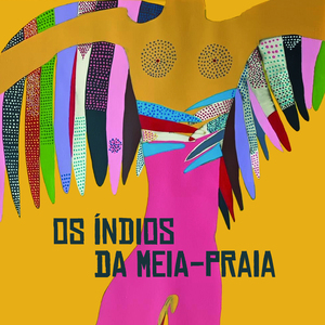 Os Índios da Meia-Praia