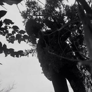 Arguements (Stripped)