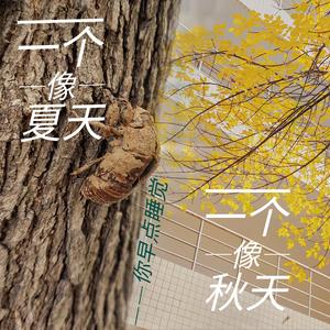 一个像夏天一个像秋天（cover范玮琪）