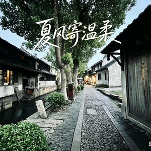 夏风寄温柔