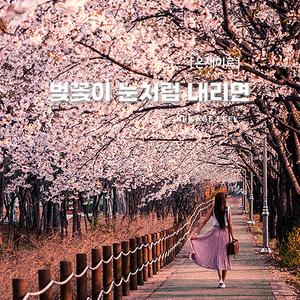 같이 걷던 그 길에 서다