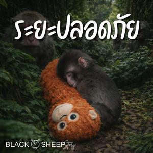 ระยะปลอดภัย