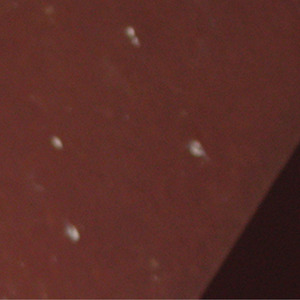 Sune (Live Version 2009)