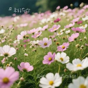 花开的地方