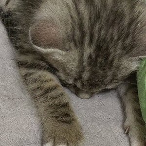 感觉不到你的爱