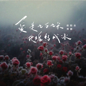 爱是九万九朵玫瑰结成冰