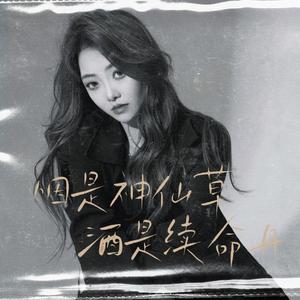 烟是神仙草酒是续命丹 (DJ阿卓版)