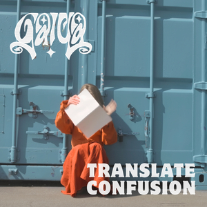Translate Confusion