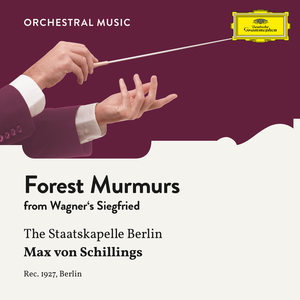 Wagner: Siegfried, WWV 86C - Forest Murmurs